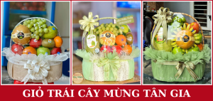 Giỏ Trái Cây Hóc Môn, Quận 12, Tp.hcm Mừng Tân Gia, Mừng Sinh Nhật, Mừng 2010, Mừng 2011, Mừng Thầy Cô, Mừng Doang Nghiêp, Thăm Bệnh Chia Buồn (13)